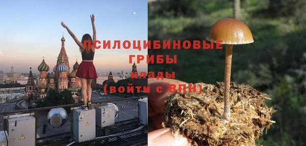гашик Бугульма