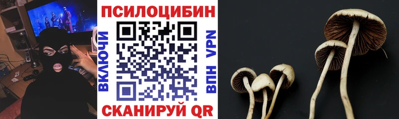 Псилоцибиновые грибы Psilocybine cubensis  где найти наркотики  Осинники 