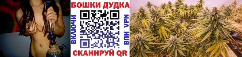 Шишки марихуана THC 21%  Осинники 